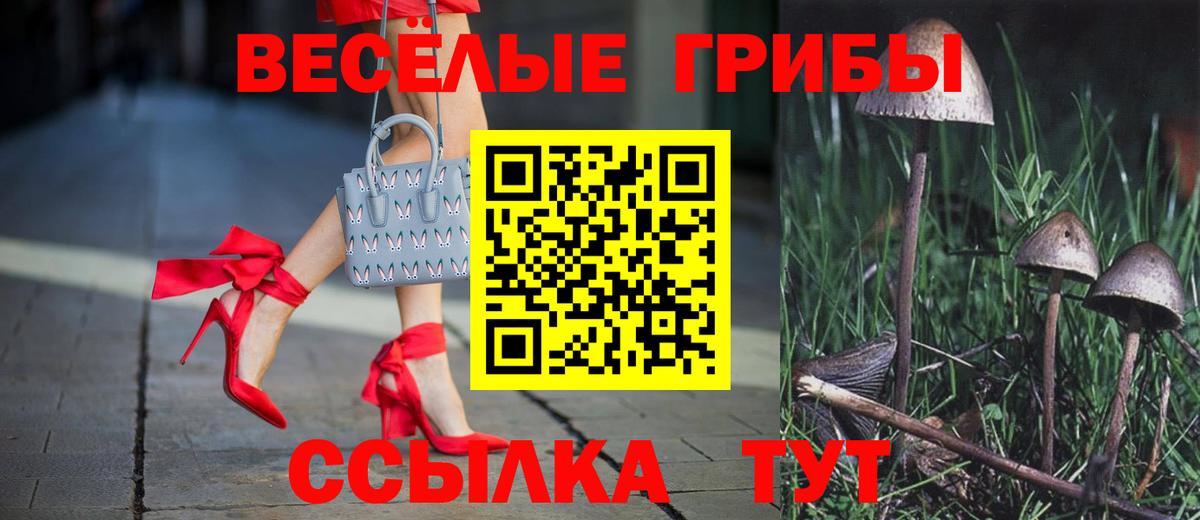 Галлюциногенные грибы ЛСД Тавда